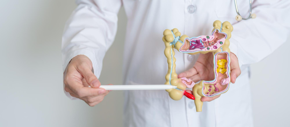 Kokraklar haqida koproq videolar