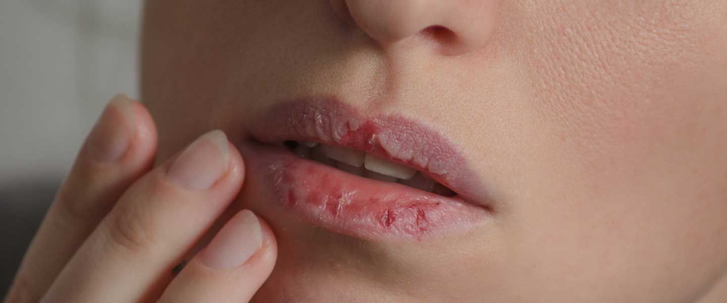 Jinsiy animatsion videolar