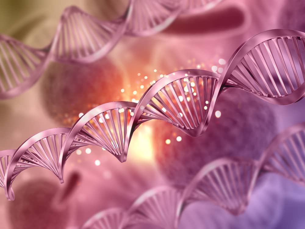 can you take glp 1 and metformin together Disproportionality analysis of GLP-1 receptor agonists combined with metformin based on the FAERS database can you take glp 1 and metformin together Disproportionality analysis of GLP-1 receptor agonists combined with metformin based on the FAERS database