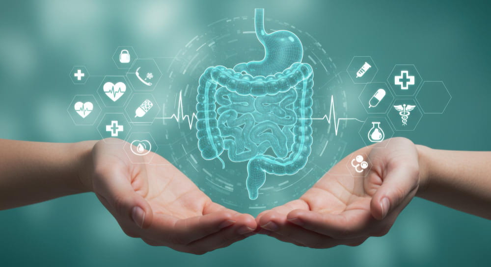Gut Health: Microbiome Testing & Screening | Medical Park