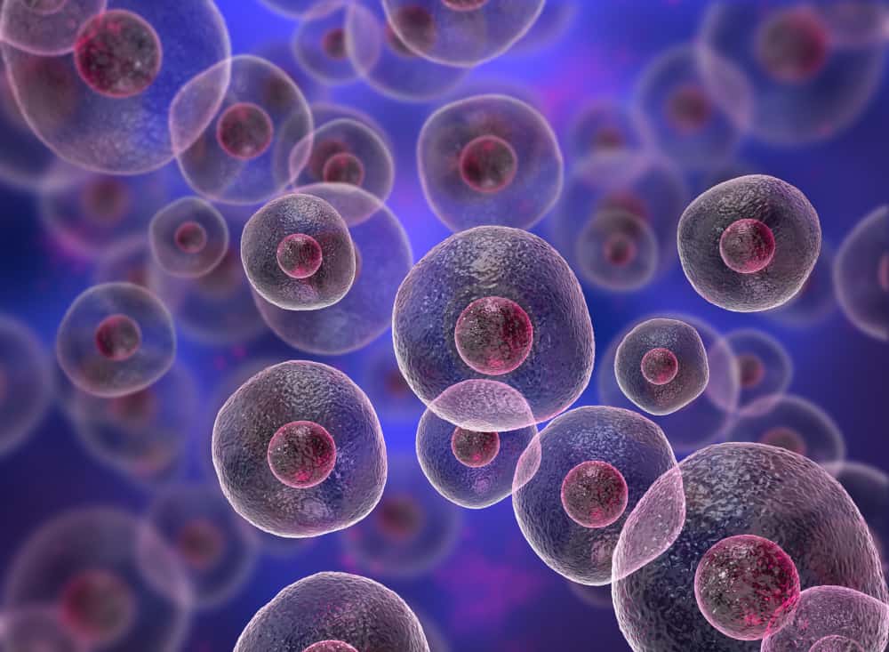 Aprel oneil jinsiy aloqa